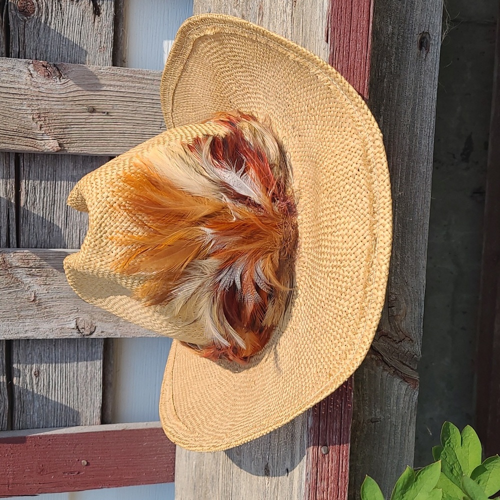 Levi's Straw Cowboy Hat With Feathered Band